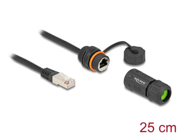 DeLOCK Kabel RJ45 Stecker zu RJ45 Buchse Cat.6A zum Einbau mit M20 Gewinde und Gehäuse IP68 staub- und wasserdicht 25 cm schwarz (88147)