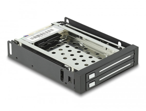 DeLOCK 3.5" Mobile Rack Schwarz (47189)
