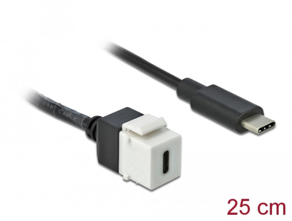 DeLOCK 86399 Keystone-Modul (86399)