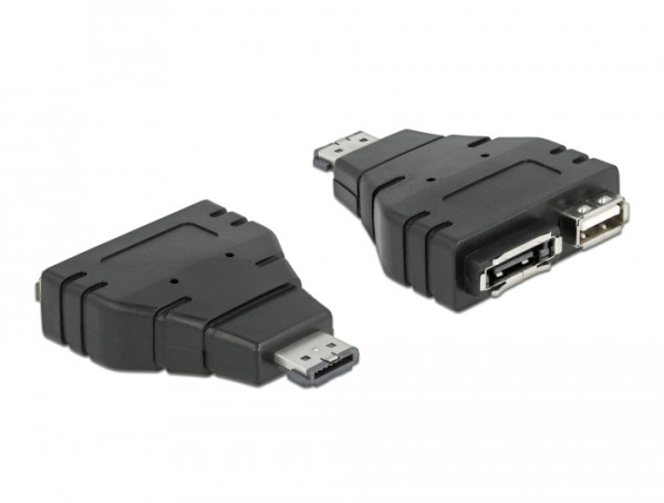 DeLOCK Adapter Power-over-eSATA > 1x eSATA/1x USB 1xeSATA, 1xUSB Schwarz (65119)