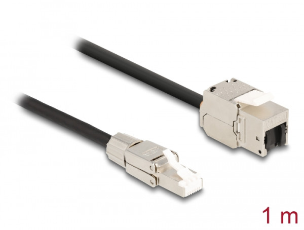 DeLOCK Kabel RJ45 Stecker feldkonfektionierbar zu Keystone Modul RJ45 Buchse Cat.6A 1 m (87206)