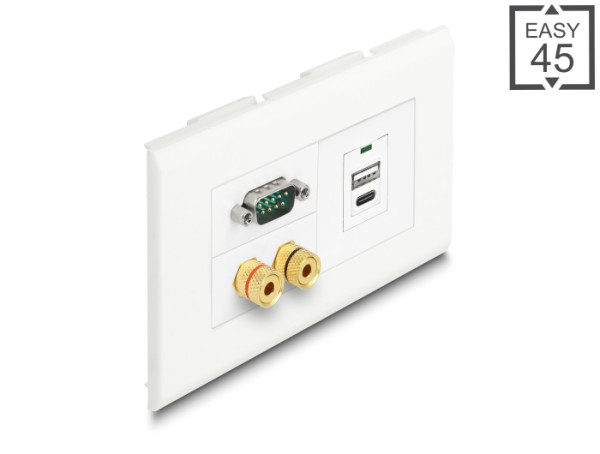 DeLOCK Easy 45 Modulträger für Geräteeinbaukanal 130 x 80 mm (81316)