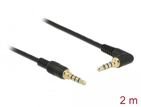 DeLOCK 85613 Audio-Kabel 2 m 3.5mm Schwarz (85613)