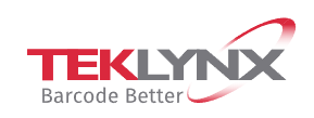 Teklynx International LABELVIEW Pro 2019 VM online (12825-NDV)