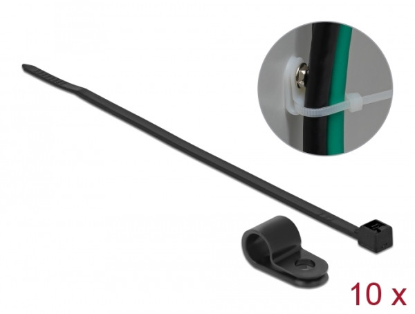DeLOCK 18868 Kabelbinder Kabelbinder zur Schraubmontage Nylon Schwarz 10 Stücke (18868)