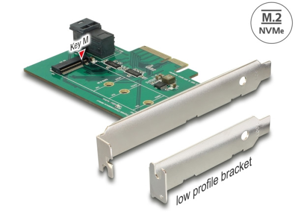 DeLOCK 89517 Schnittstellenkarte/Adapter Eingebaut M.2 (89517)