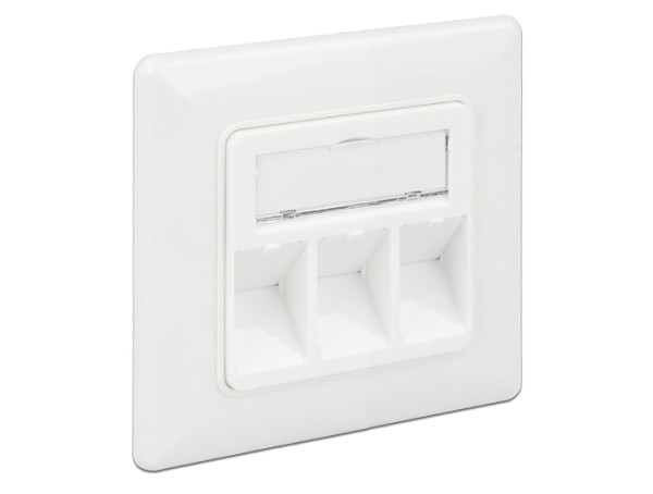 DeLOCK 86194 Steckdose RJ-45 Silber, Weiß (86194)