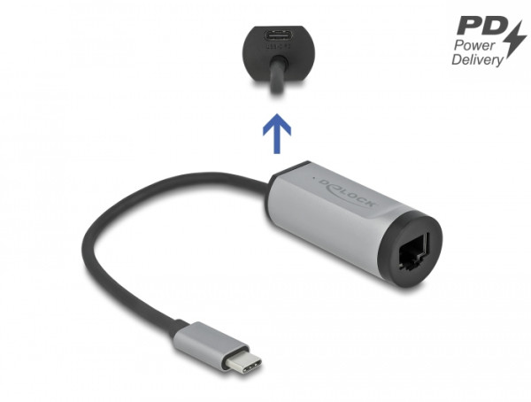 DeLOCK USB Type-C Adapter zu Gigabit LAN mit Power Delivery Anschluss grau (64116)