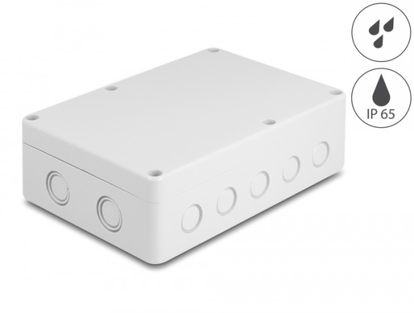 DeLOCK Installationsgehäuse mit Kabeleinführungen 180 x 125 x 57 mm grau (60493)
