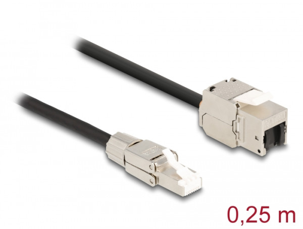 DeLOCK Kabel RJ45 Stecker feldkonfektionierbar zu Keystone Modul RJ45 Buchse Cat.6A 25 cm (87203)