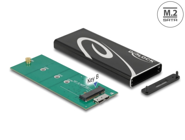 DeLOCK Externes Gehäuse SuperSpeed USB für M.2 SATA SSD Key B (42007)