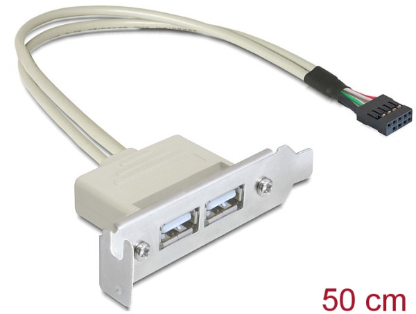 DeLOCK 0.5m Slotblech USB 2.0 (83119)