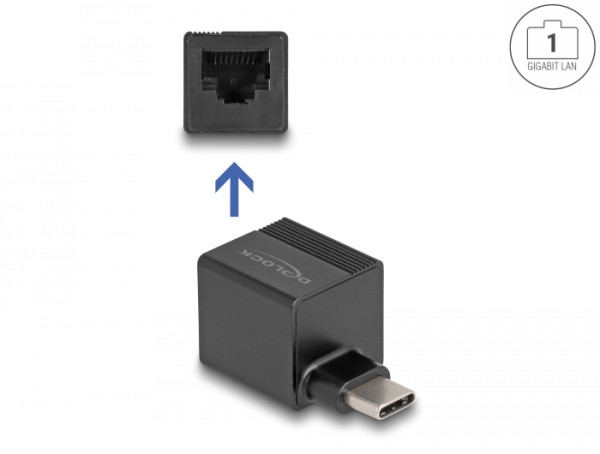 DeLOCK USB Type-C Adapter zu Gigabit LAN mini (66462)