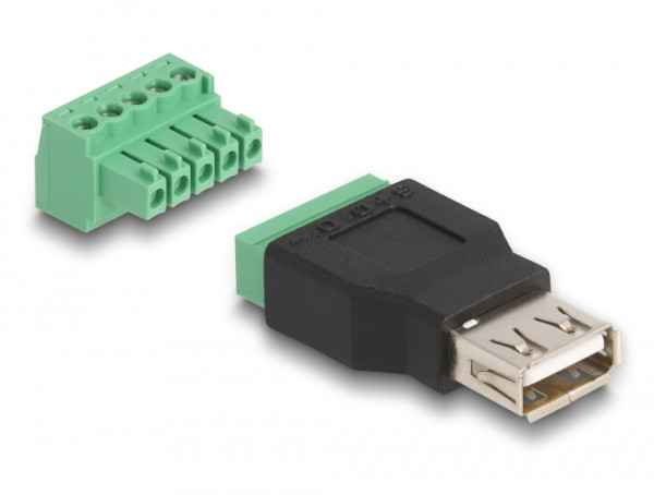 DeLOCK USB 2.0 Typ-A Buchse zu Terminalblock Adapter 2-teilig (65973)