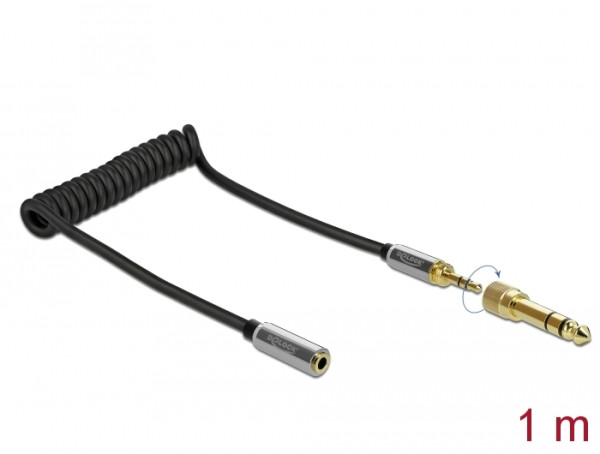 DeLOCK 85831 Audio-Kabel 1 m 3.5mm Schwarz (85831)