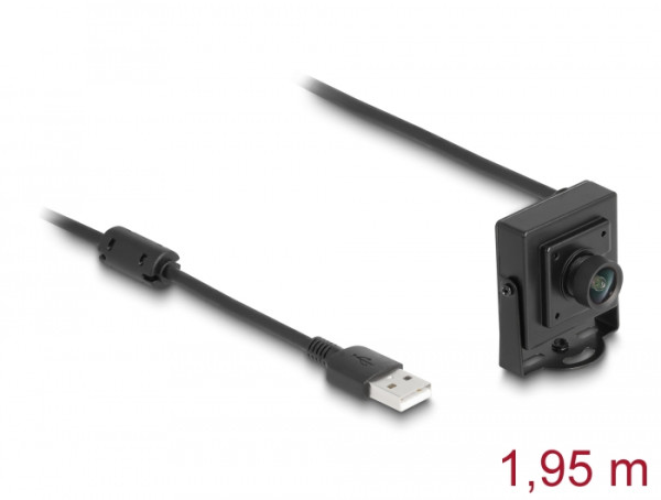 DeLOCK USB 2.0 Kamera 2,1 Megapixel 100° Fixfokus (96403)