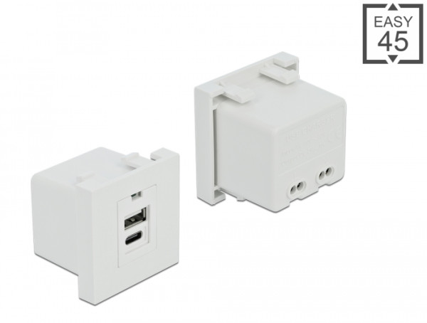 DeLOCK Easy 45 USB Ladeportmodul 1 x USB Typ-A + 1 x USB Type-C (81313)