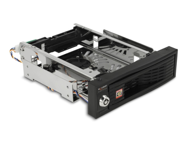 DeLOCK 47199 Hard Drive Backplane Schwarz (47199)