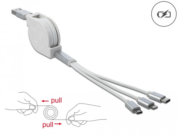 DeLOCK 85850 USB Kabel USB 2.0 0,98 m USB A USB C/Micro-USB B/Lightning Silber, Weiß (85850)