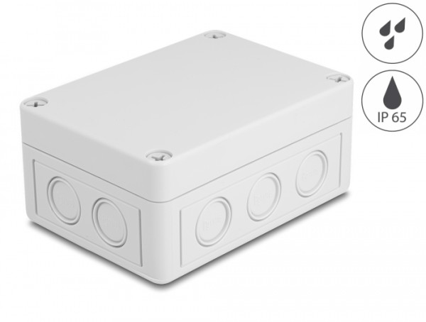 DeLOCK Installationsgehäuse mit Kabeleinführungen 130 x 93 x 57 mm grau (60489)