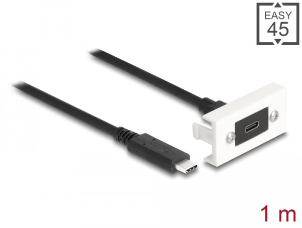 DeLOCK Easy 45 Modul SuperSpeed USB 10 Gbps USB 3.2 Gen 2 USB Type-C Buchse zu USB Type-C Stecker mit Kabelpeitsche, 22,5 x 45 mm (81386)