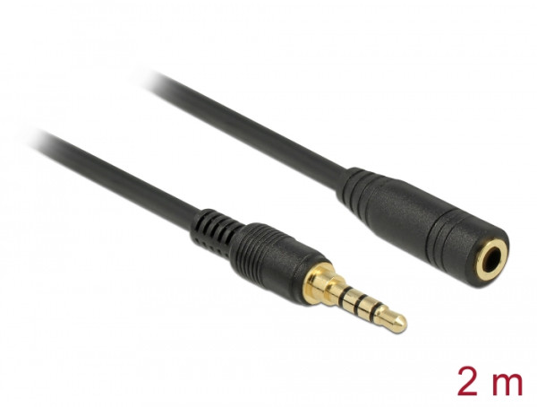 DeLOCK 85631 Audio-Kabel 2 m 3.5mm Schwarz (85631)