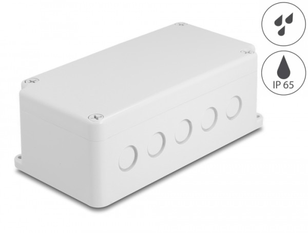 DeLOCK Installationsgehäuse mit Kabeleinführungen 200 x 100 x 70 mm grau (60491)