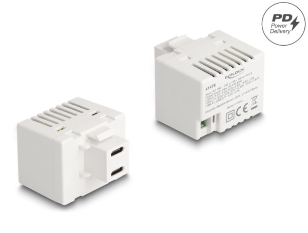 DeLOCK Keystone Modul mit 2 x USB Type-C Ladebuchsen PD 20 W weiß (41479)