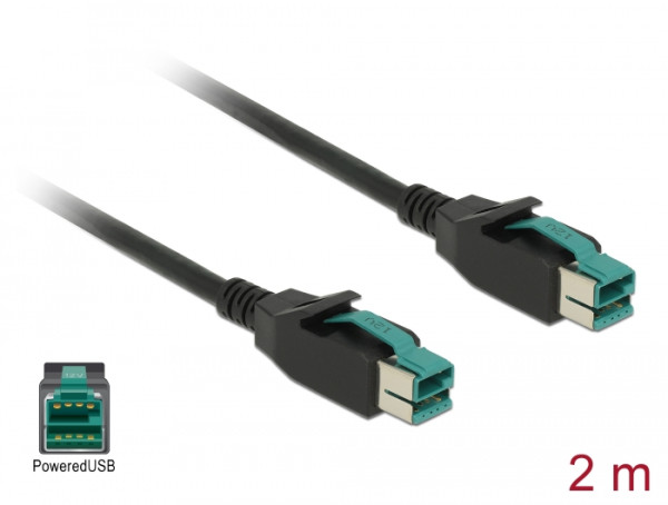 DeLOCK 85493 Stromkabel Schwarz 2 m PoweredUSB (85493)