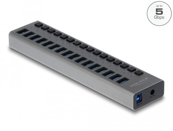 DeLOCK Externer USB 5 Gbps Hub mit 16 Ports + Schalter (63739)