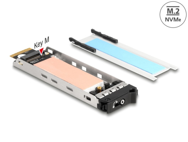 DeLOCK Wechselrahmen Einschub 1 x M.2 NVMe SSD für Wechselrahmen 47028 / 47042 / 47070 / 47072 / 47111 / 47117 / 47126 / 47129 (47037)