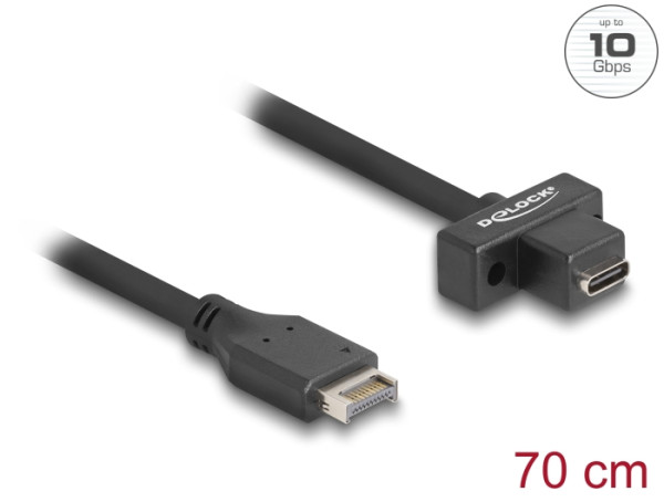 DeLOCK USB 10 Gbps Kabel Typ-E Key A 20 Pin Stecker zu USB Type-C Buchse zum Einbau 70 cm (85776)