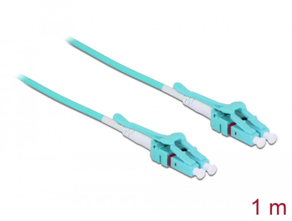 DeLOCK 1m, 2xLC InfiniBand/Glasfaserkabel LC Türkis (85127)