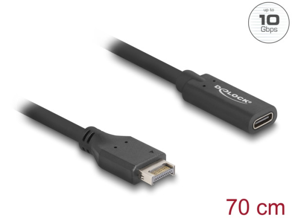 DeLOCK USB 10 Gbps Kabel Typ-E Key A 20 Pin Stecker zu USB Type-C Buchse 70 cm (85666)