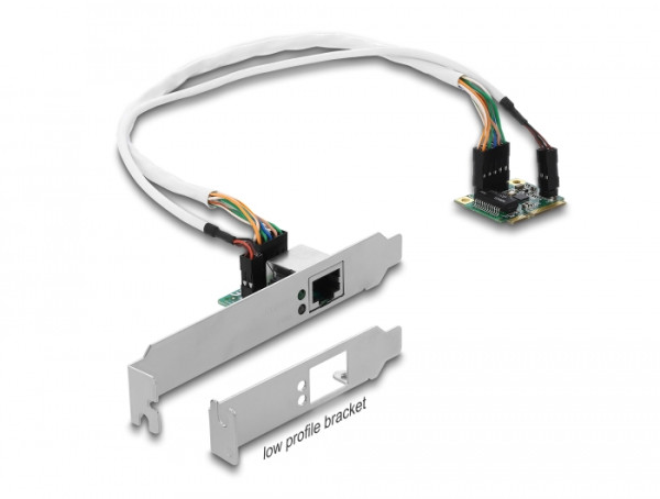 DeLOCK 95265 Netzwerkkarte Eingebaut Ethernet 1000 Mbit/s (95265)