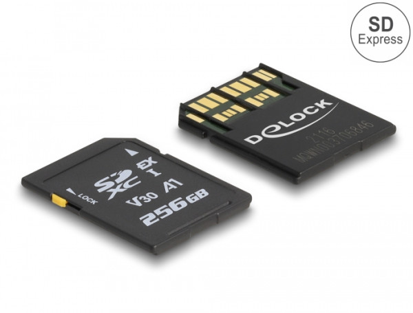 DeLOCK SD Express Speicherkarte 256 GB (54091)