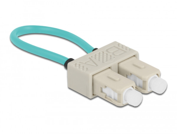 DeLOCK LWL Loopback Adapter SC / OM3 Multimode beige (86923)