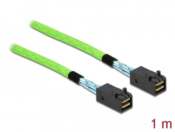 DeLOCK PCI Express Kabel Mini SAS HD SFF-8673 zu SFF-8673 1 m (86625)