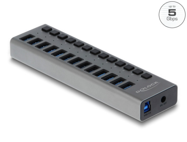 DeLOCK Externer USB 5 Gbps Hub mit 13 Ports + Schalter (63738)