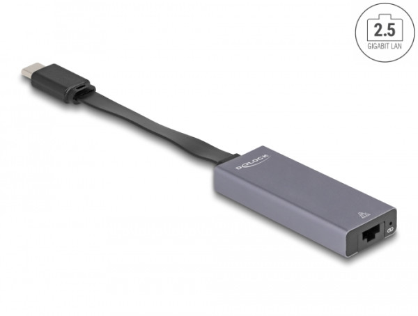DeLOCK USB Type-C Adapter zu 2,5 Gigabit LAN slim (66248)