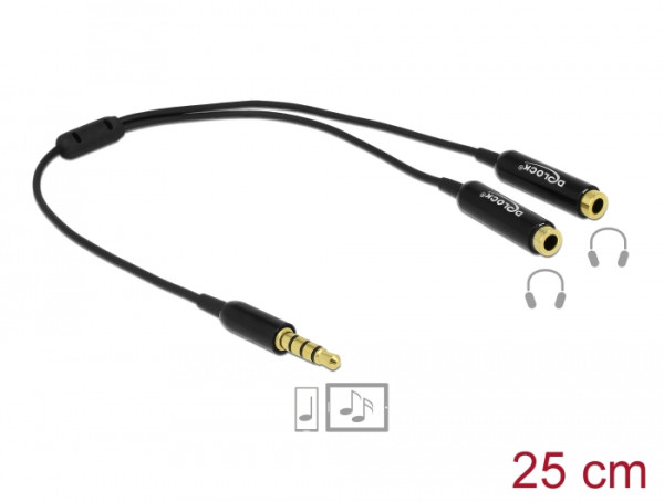 DeLOCK 65575 Audio-Kabel 0,25 m 3.5mm 2 x 3.5mm Schwarz (65575)