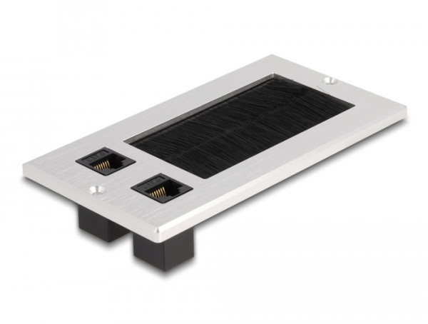 DeLOCK Kabeldurchführung mit Bürste und 2 x RJ45 Keystone Modul Cat.6 Aluminium (66896)