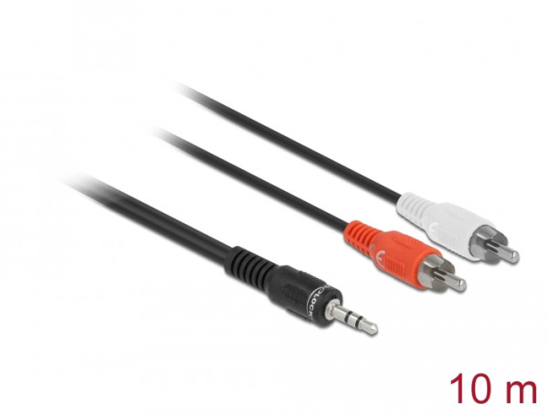 DeLOCK 84277 Audio-Kabel 10 m 3.5mm 2 x RCA Schwarz (84277)
