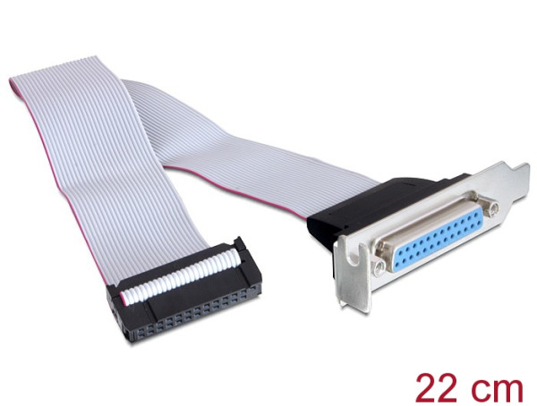 DeLOCK Slotblech/Parallel Flach (84476)