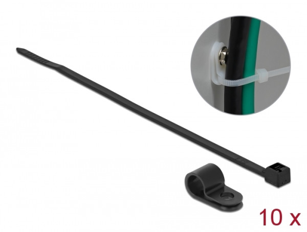 DeLOCK 18866 Kabelbinder Kabelbinder zur Schraubmontage Nylon Schwarz 10 Stücke (18866)
