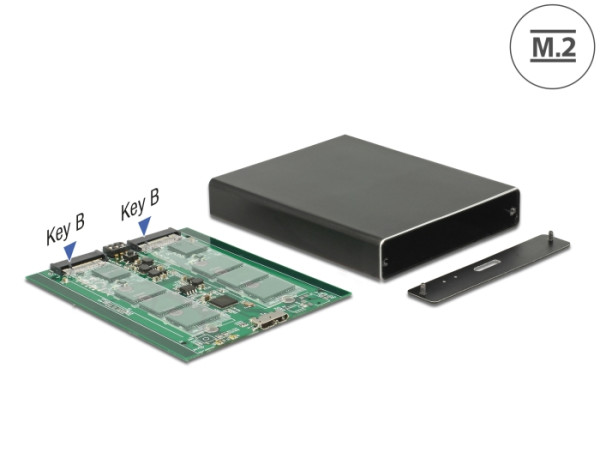 DeLOCK 42588 Speicherlaufwerksgehäuse SSD-Gehäuse Schwarz (42588)